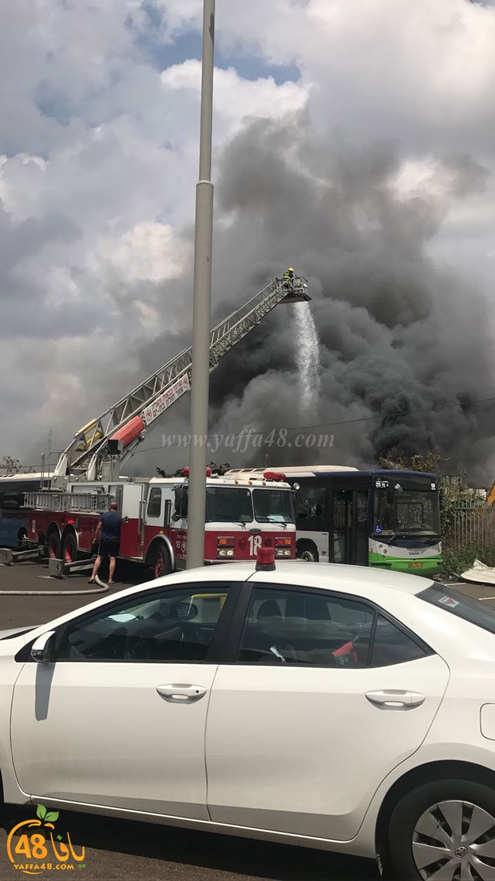 firbus eastyaffa (14).jpg